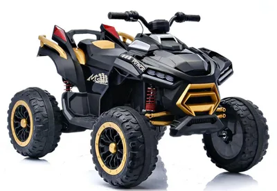 טרקטורון לילדים- פיוצ'ר 24V 4X4